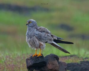 fb img 1759218212406