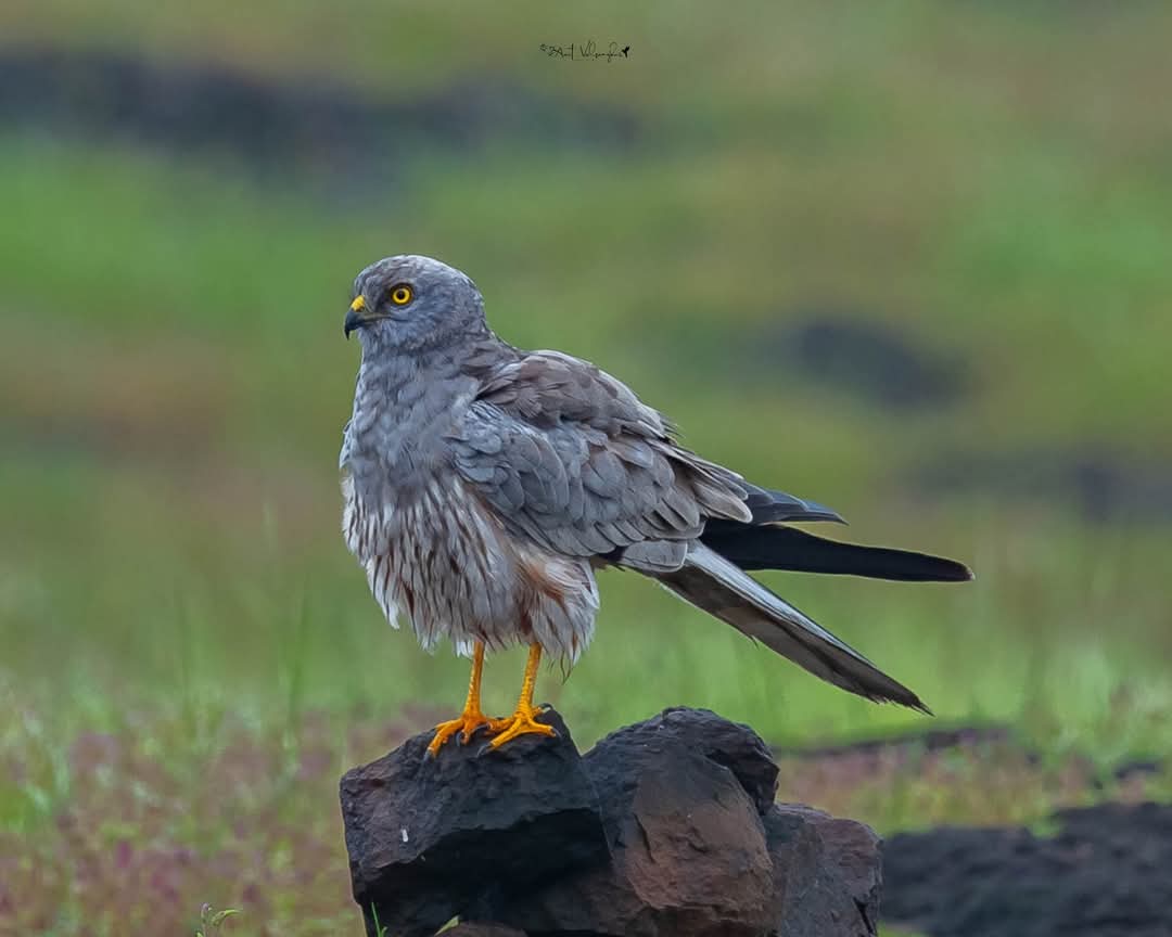 fb img 1759218212406