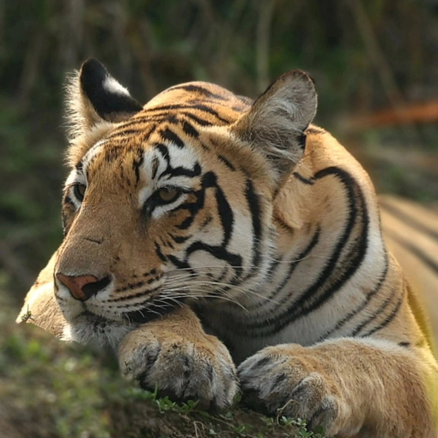 img 20250531 185605 665