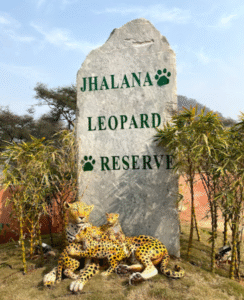 jhalana leopard reserve