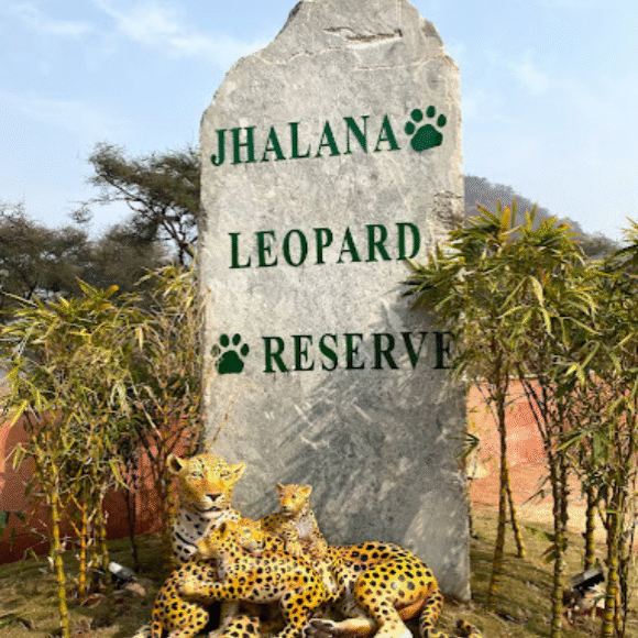 jhalana leopard reserve