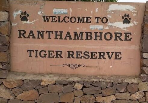 ranthambore